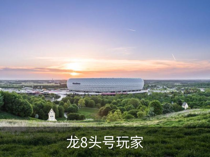 了解龙8头号玩家